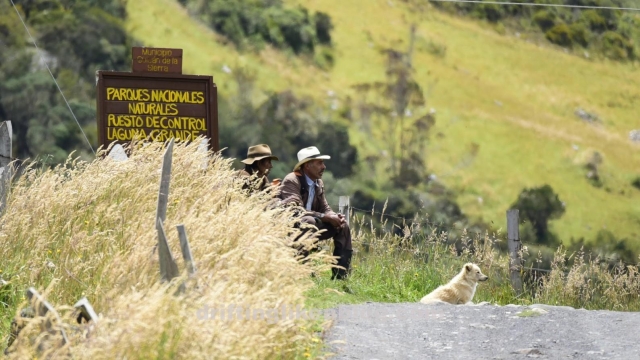 20180901_084445-1588x893