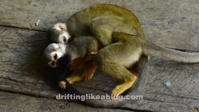 20180907_102521-1410x793