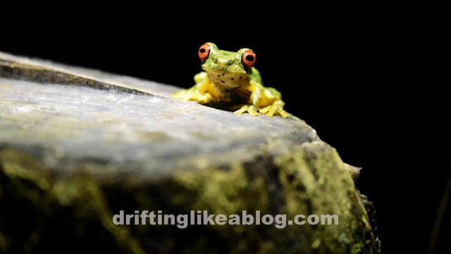 20180808_083207-1228x690