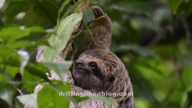 20180808_084336-1578x888