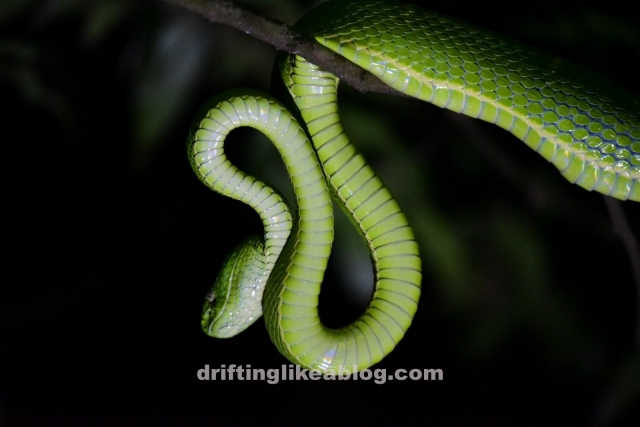 DAP5969-2406x1606-1600x1068