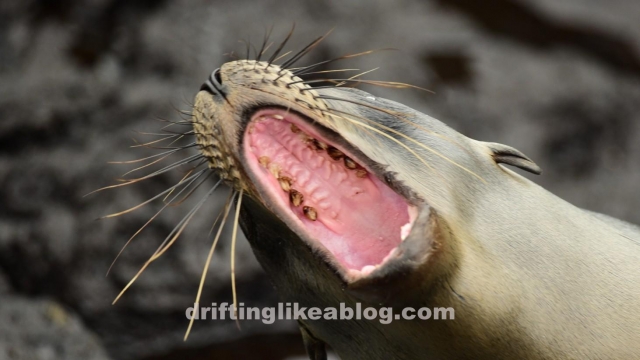 20180612_074952-1462x823