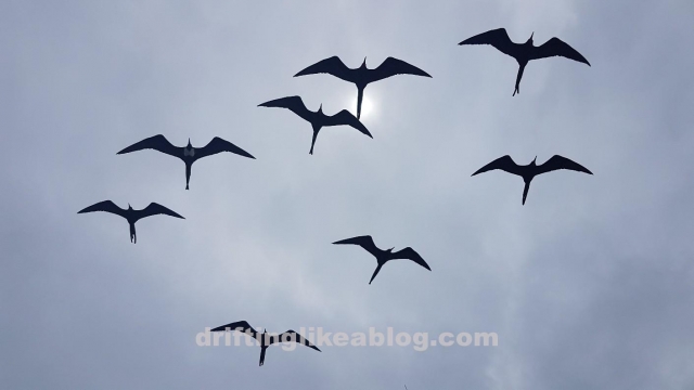 20180615_125154-1411x794