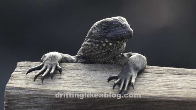 20180620_174927-1411x793