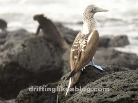 20180609_212724-1411x793