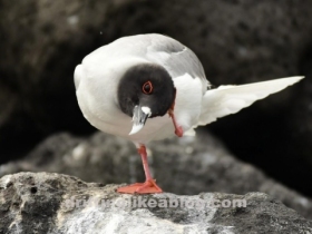 20180610_183015-1411x793