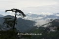 DAP2481-1504x1004 DAP2481-1504x1004