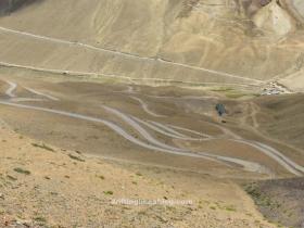 1_DAP1444_copy_1504x1004