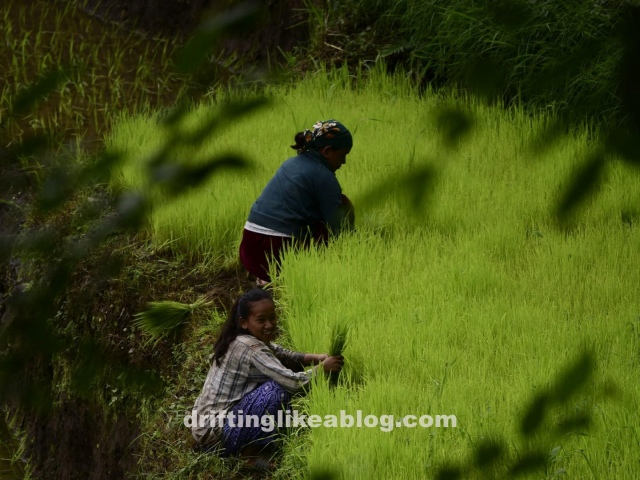 20190813_181035-1440x1079