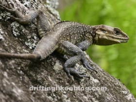 20190813_180330-1440x809