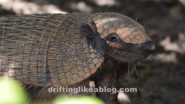 20180426_132149-1280x720
