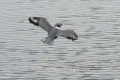 20180422_213954-1504x845
