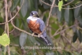 20180422_214126-1504x846 20180422_214126-1504x846