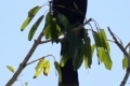 20180426_125401-1200x2131 20180426_125401-1200x2131