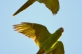 20180426_131505-1200x2133 20180426_131505-1200x2133