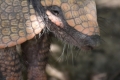 20180426_132354-1200x2134 20180426_132354-1200x2134