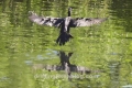 20180426_133031-1504x846 20180426_133031-1504x846