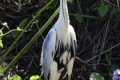 20180426_133112-1200x2135 20180426_133112-1200x2135