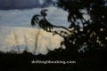 DAP9797-1504x1004 DAP9797-1504x1004