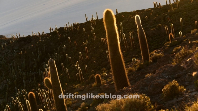 20180517_191559-1504x846