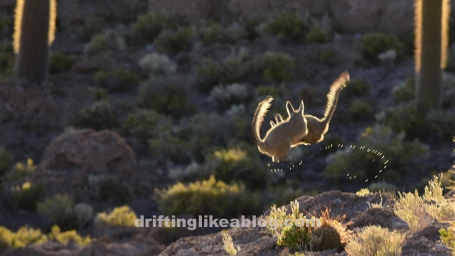 20180523_141021-1504x846