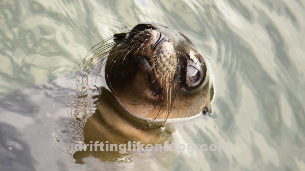 Equador – Galapagos Islands