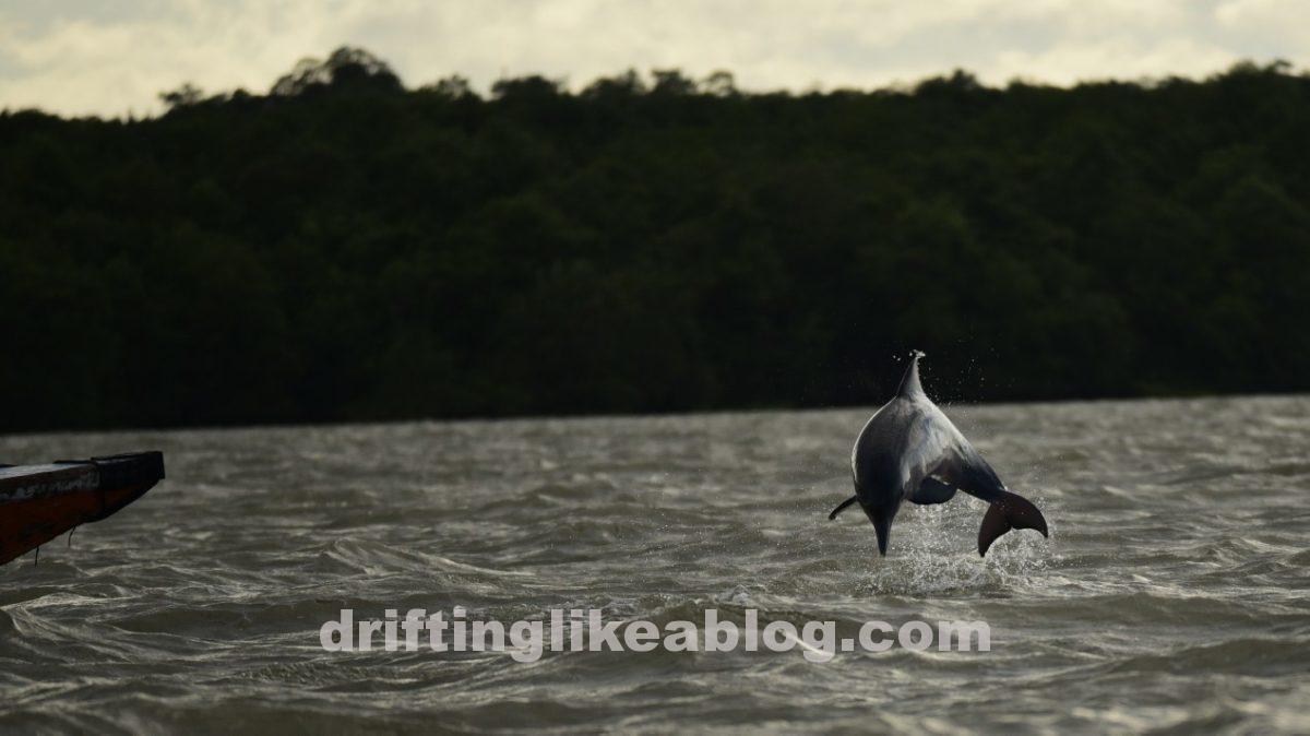 Suriname & French Guyana