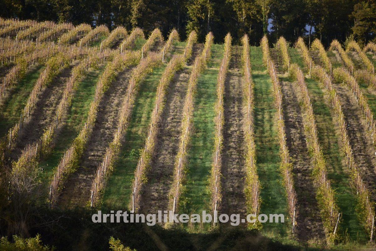 Italy & Holland with Friends